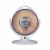 Bingo Deluxe Halogen Sun Fan Heater HX-30 Brand Warranty Bingo Offical Store.